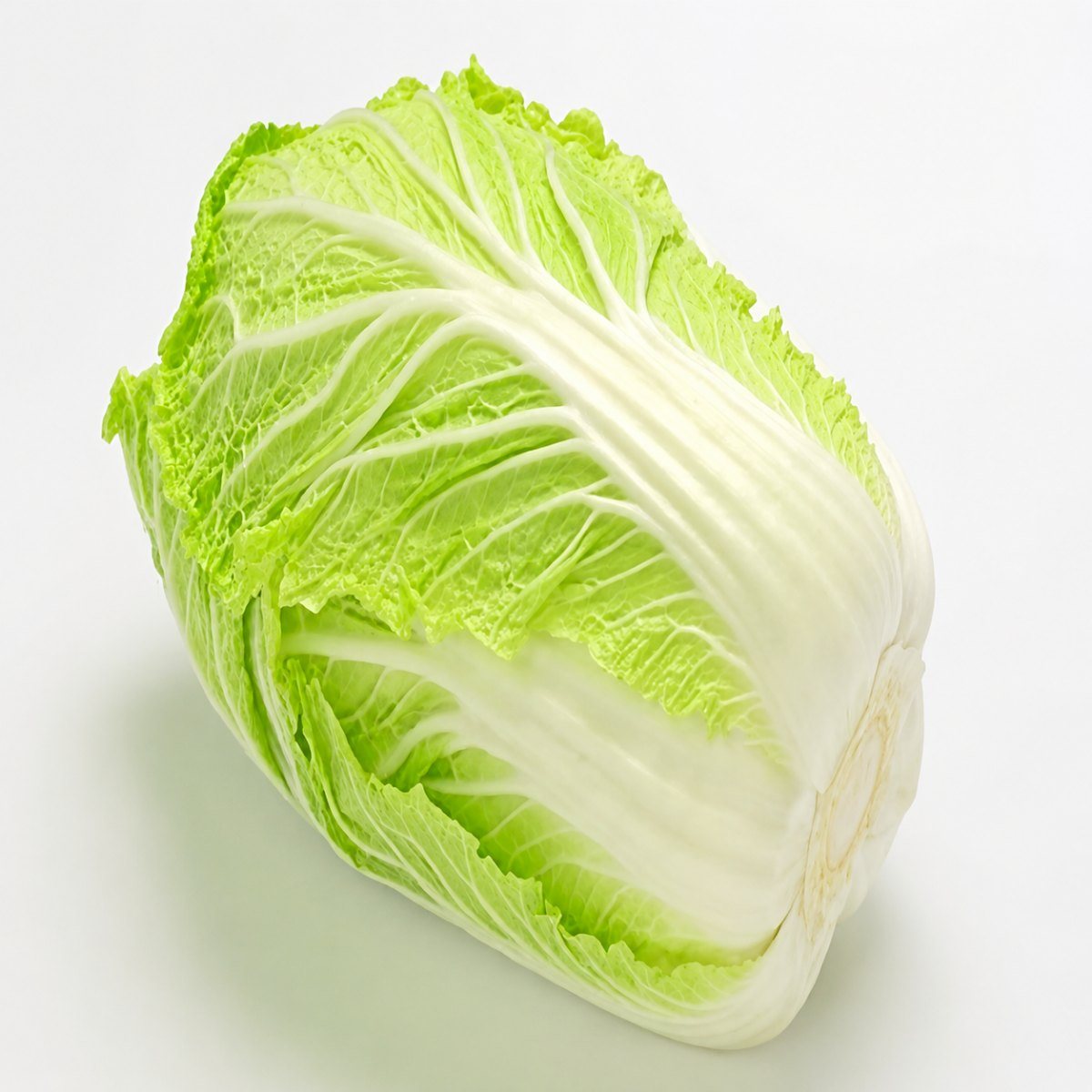 大白菜Chinese cabbage