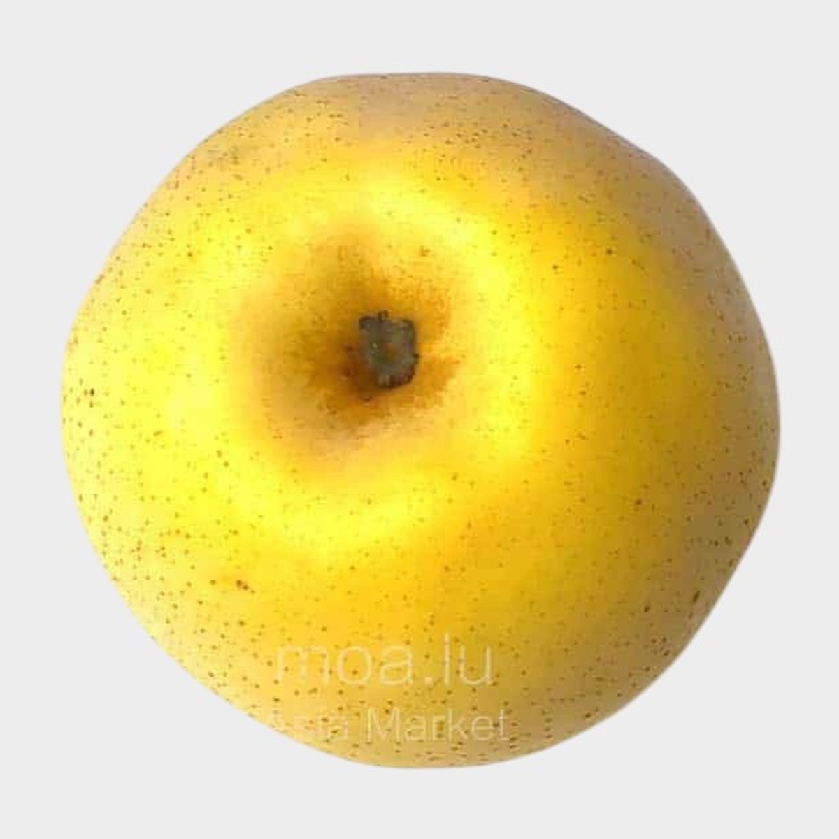 黄金梨Chinese Pear