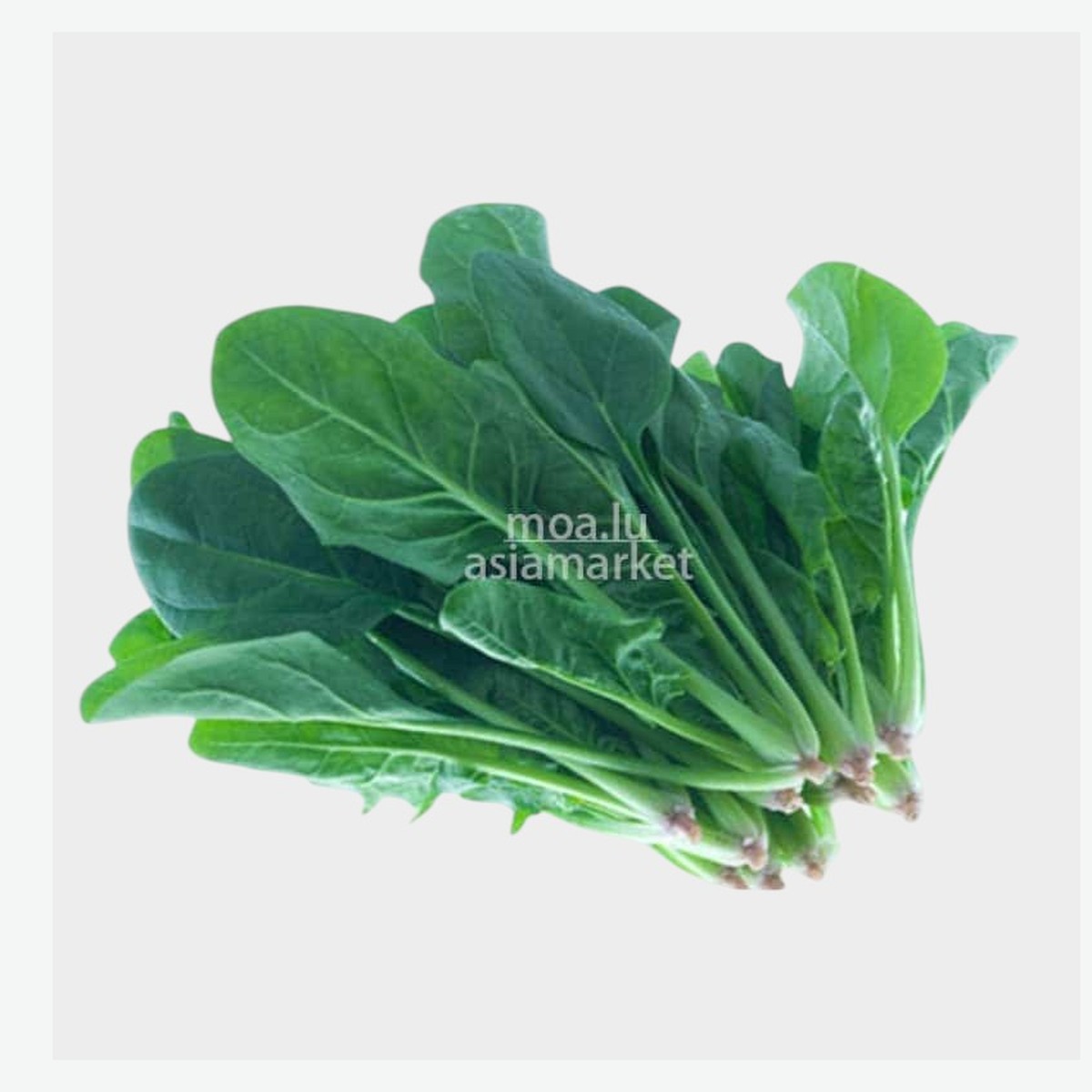 Chinese Spinach