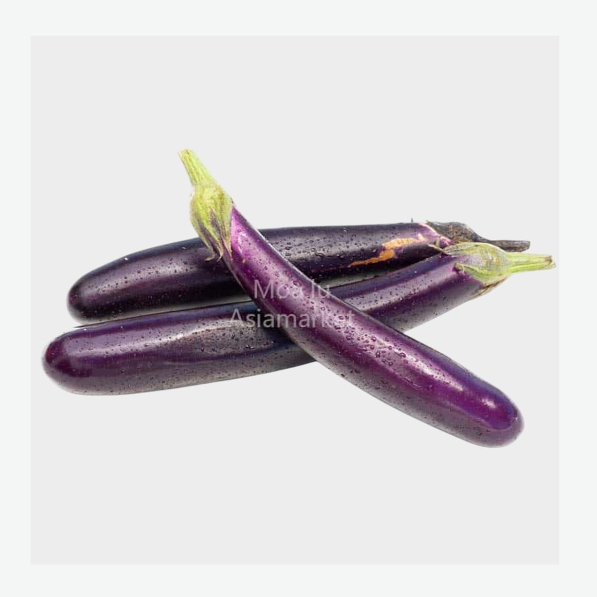 中国茄子Chinese Aubergine
